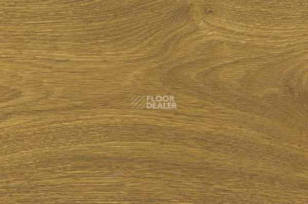 Пробковое покрытие Wood Xl Oak  Knotty фото 1 | FLOORDEALER