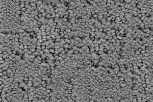 Ковролин Balsan Rialto 920 фото  | FLOORDEALER