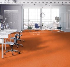 Tessera Basis 382 Mandarin фото 2 | FLOORDEALER