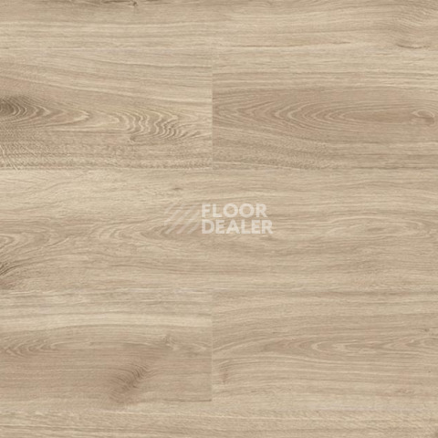 Ламинат Kronopol Platinium Terra AQUA BLOCK 8mm Kronopol Platinium Terra Aqua Block 24h Дуб Венеция D6201 фото 1 | FLOORDEALER
