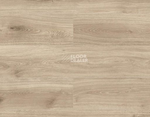 Ламинат Kronopol Platinium Terra AQUA BLOCK 8mm Kronopol Platinium Terra Aqua Block 24h Дуб Венеция D6201 фото 1 | FLOORDEALER