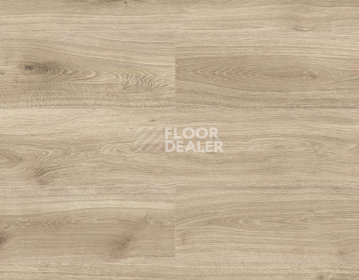 Ламинат Kronopol Platinium Terra AQUA BLOCK 8mm Kronopol Platinium Terra Aqua Block 24h Дуб Венеция D6201 фото 1 | FLOORDEALER