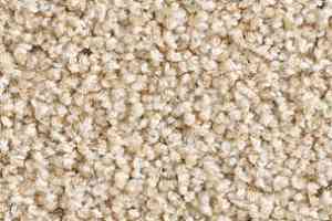 Ковролин Balsan Les Must Les Must 610 фото  | FLOORDEALER