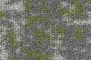 Ковровая плитка Small 622 Fern a фото  | FLOORDEALER