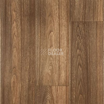 Линолеум Grabo Terrana Top Extra 4266-272 фото 1 | FLOORDEALER