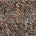 Ковролин Timzo Fortuna 3918  | FLOORDEALER