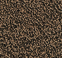 Ковролин Desso Cassini 1659 фото 1 | FLOORDEALER