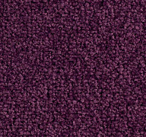 Ковролин Balsan Bolero 890 фото 1 | FLOORDEALER