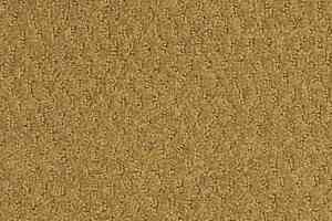 Ковролин Shaw Formation 700 фото  | FLOORDEALER