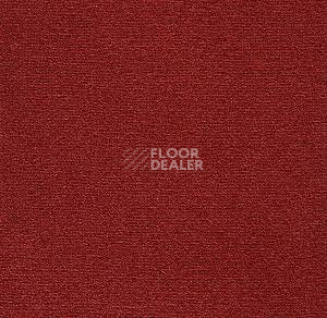 Ковролин Big Nobless 449 фото 1 | FLOORDEALER