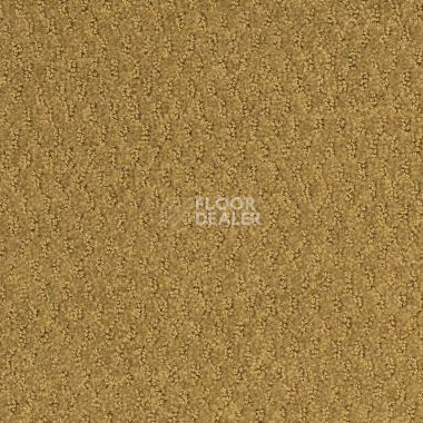 Ковролин Shaw Formation 700 фото 1 | FLOORDEALER
