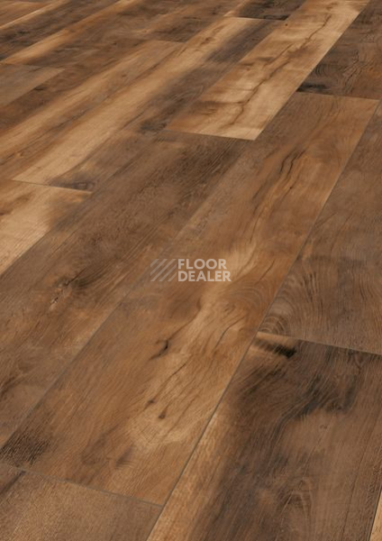 Ламинат Terhurne Dureco Classic Line 2813 / a13 Дуб Серна фото 1 | FLOORDEALER