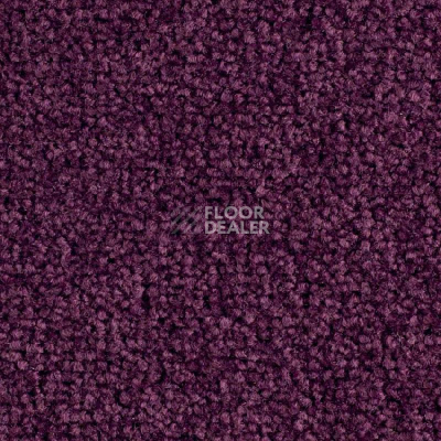 Ковролин Balsan Bolero 890 фото 1 | FLOORDEALER