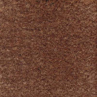 Ковролин Emphatic Beaulieu of America 56724 фото 1 | FLOORDEALER