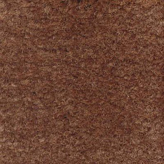 Ковролин Emphatic Beaulieu of America 56724 фото 1 | FLOORDEALER