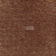 Ковролин Emphatic Beaulieu of America 56724 фото 1 | FLOORDEALER