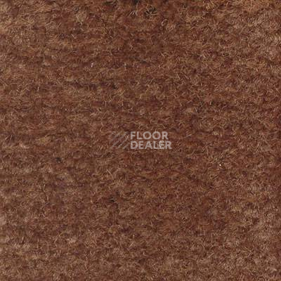 Ковролин Emphatic Beaulieu of America 56724 фото 1 | FLOORDEALER