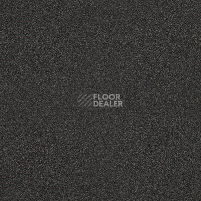 Ковровая плитка Interface Polichrome 7562 Bark фото 1 | FLOORDEALER