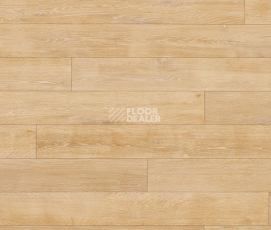 Линолеум Novoflor Extra Wood 2017-1 фото 1 | FLOORDEALER