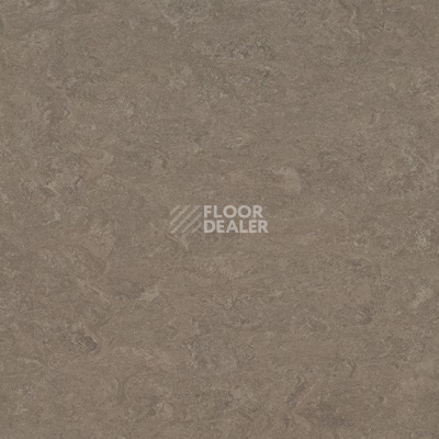 Линолеум Marmorette DLW  2mm 0164 Milk Coffee фото 1 | FLOORDEALER