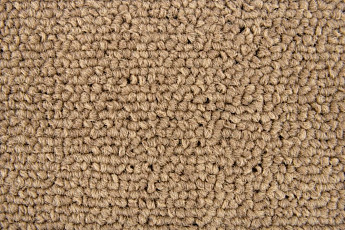 Ковровая плитка Standard Carpets Spectrum sm 595 фото 1 | FLOORDEALER