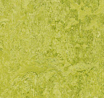 Линолеум Forbo Marmoleum Decibel 322435 chartreuse фото 1 | FLOORDEALER