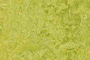 Линолеум Forbo Marmoleum Decibel 322435 chartreuse фото  | FLOORDEALER