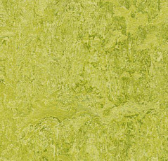 Forbo Marmoleum Decibel 322435 chartreuse фото 1 | FLOORDEALER
