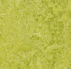 Forbo Marmoleum Decibel 322435 chartreuse фото 1 | FLOORDEALER