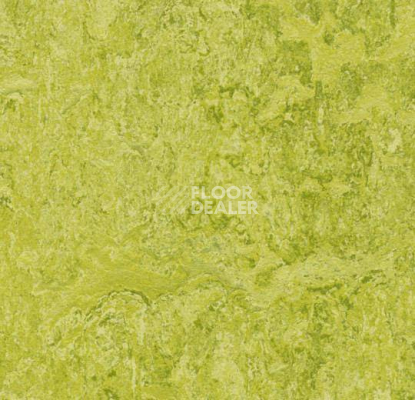 Линолеум Forbo Marmoleum Decibel 322435 chartreuse фото 1 | FLOORDEALER