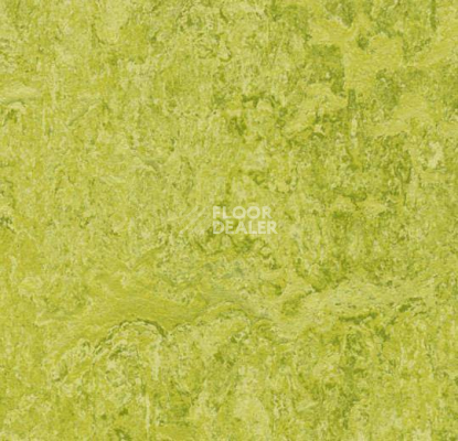Линолеум Forbo Marmoleum Decibel 322435 chartreuse фото 1 | FLOORDEALER