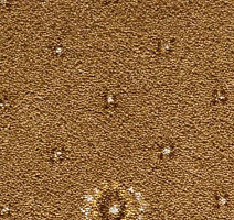 Ковролин Condor Carpets Australia 424 фото 1 | FLOORDEALER