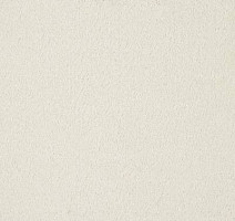 Ковролин Big Carus Olivia 302 фото 1 | FLOORDEALER