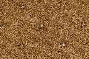 Ковролин Condor Carpets Australia 424 фото  | FLOORDEALER