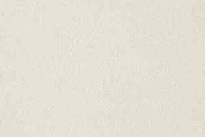 Ковролин Big Carus Olivia 302 фото  | FLOORDEALER