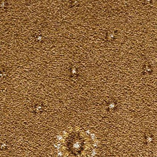 Ковролин Condor Carpets Australia 424 фото 1 | FLOORDEALER