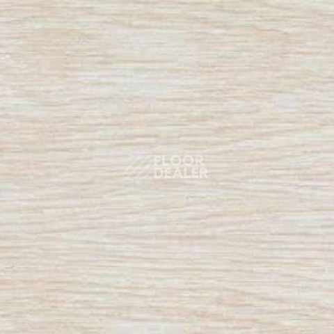 Плинтус Dollken EP 60/13 2629 фото 2 | FLOORDEALER