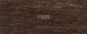 Плинтус Dollken EP 60/13 2550 фото 2 | FLOORDEALER