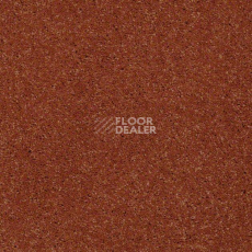 Ковролин Shaw Design Texture Platinum 622 фото 1 | FLOORDEALER