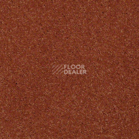 Ковролин Shaw Design Texture Platinum 622 фото 1 | FLOORDEALER