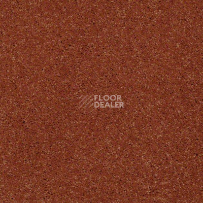 Ковролин Shaw Design Texture Platinum 622 фото 1 | FLOORDEALER