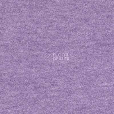 Ковролин Finett Feinwerk 753506 фото 1 | FLOORDEALER