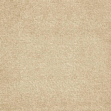 Ковролин AW Ganges 33 фото 1 | FLOORDEALER