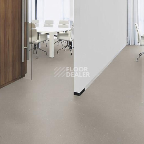 Forbo SureStep Star 176772 cement фото 2 | FLOORDEALER