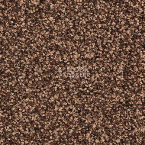 Ковролин Balsan Script 730 фото 1 | FLOORDEALER