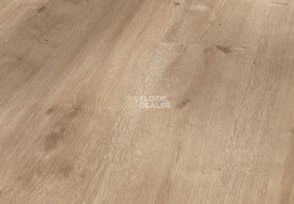 Ламинат Parador Basic Plus 200 1593564 Дуб Шлифованный фото 1 | FLOORDEALER
