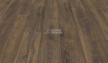 My Floor Chalet 10мм m1005 Каштан фото 3 | FLOORDEALER