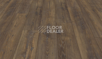 My Floor Chalet 10мм m1005 Каштан фото 3 | FLOORDEALER