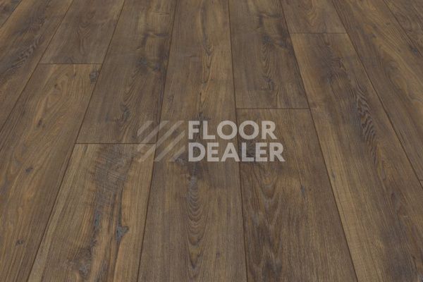 Ламинат My Floor Chalet 10мм Каштан M1005 фото 2 | FLOORDEALER
