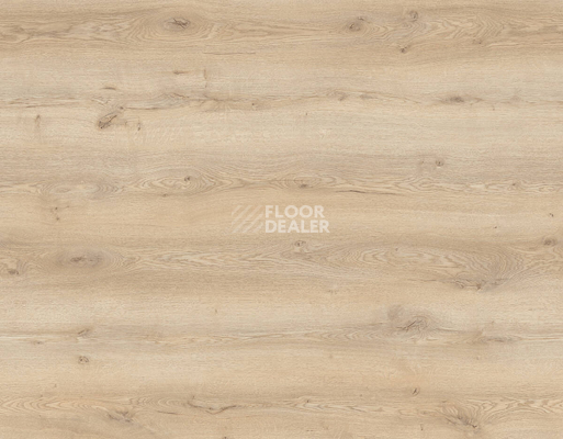 Ламинат Kronotex Mammut Plus d40772 Дуб Горный Песочный фото 1 | FLOORDEALER